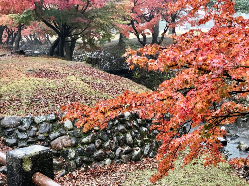 奈良公園紅葉スポット