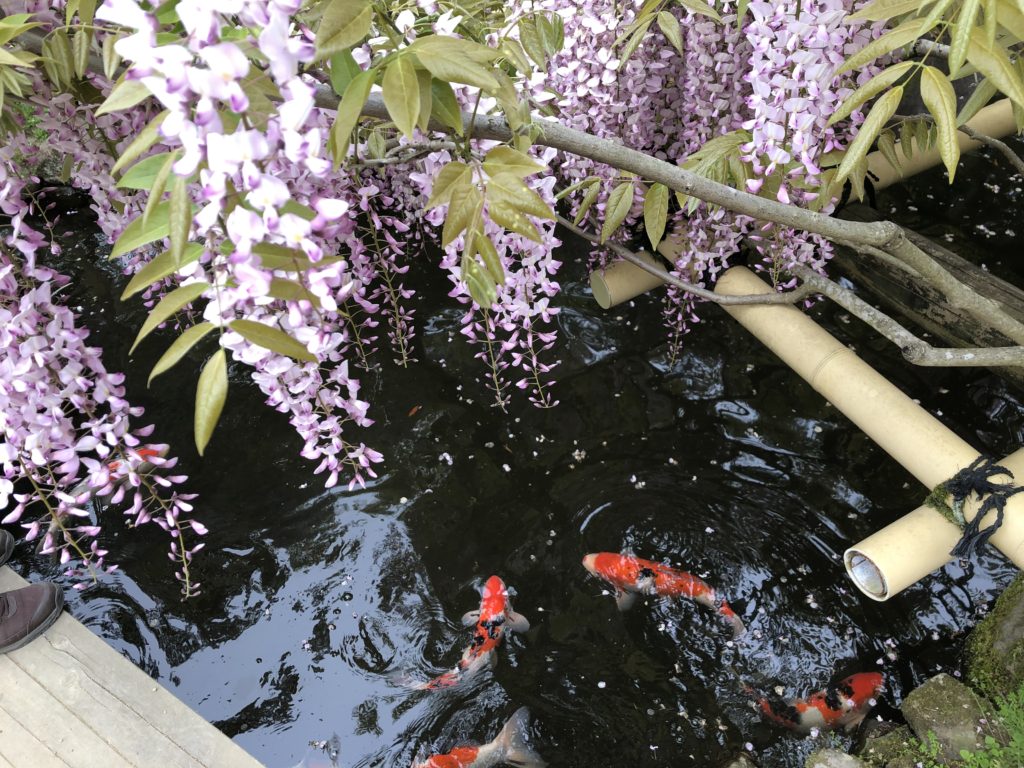 奈良萬葉植物園
