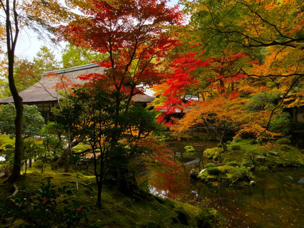 京都・南禅寺塔頭「南禅院」の紅葉