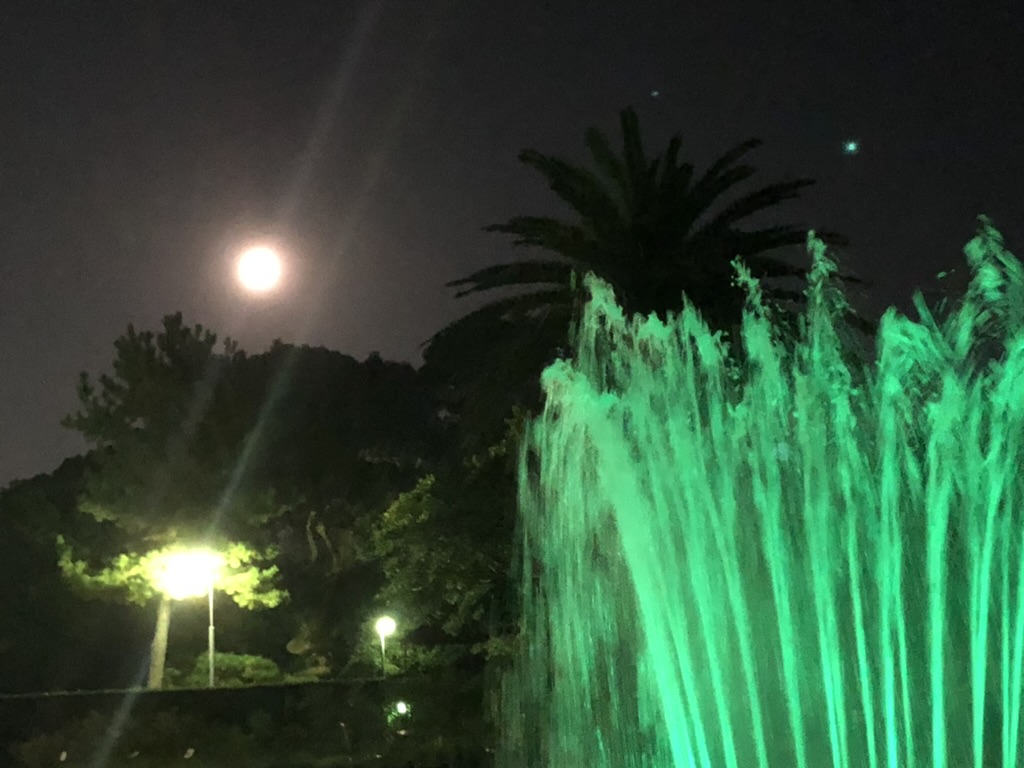 須磨離宮公園の噴水のライトアップ