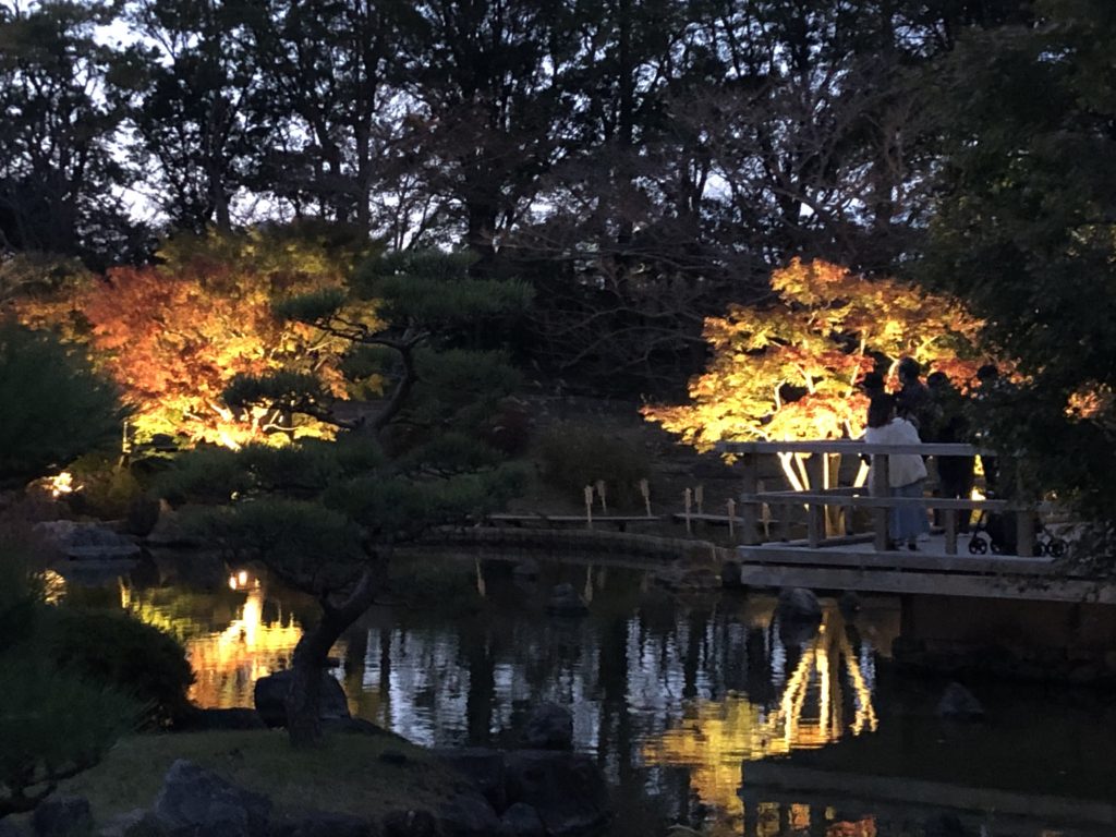 神戸「しあわせの村」の日本庭園紅葉は見頃！