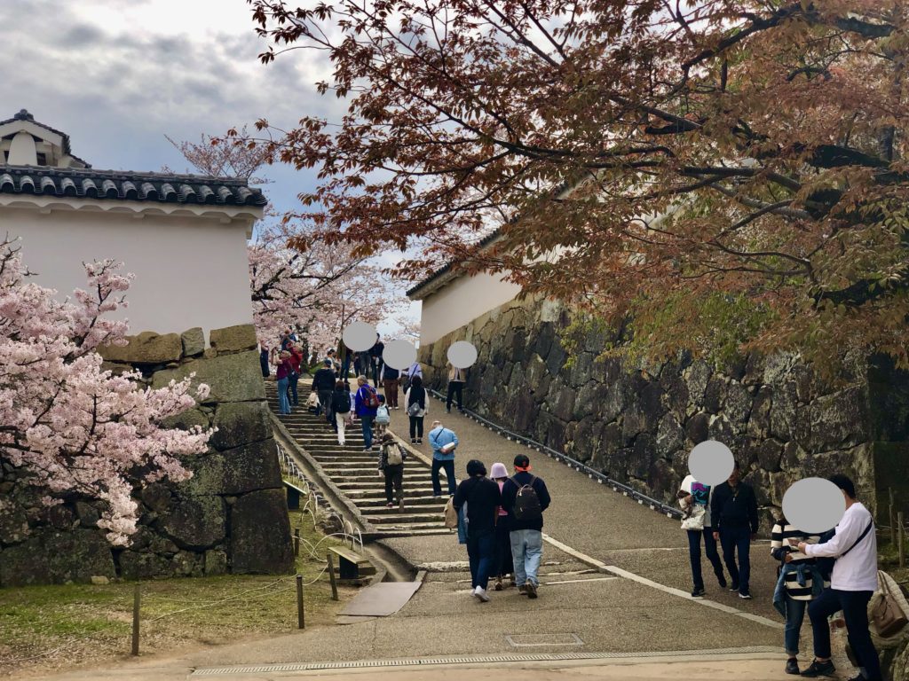 桜の花でより優美さを誇る「姫路城」！絶対に見落とさないで訪れたい場所とは？