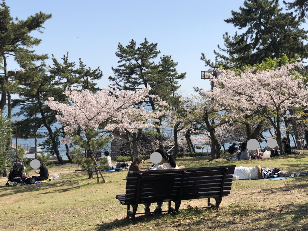 須磨浦公園はの魅力！海岸の松林の中で桜を楽しむ。撮り鉄には最高のスポット