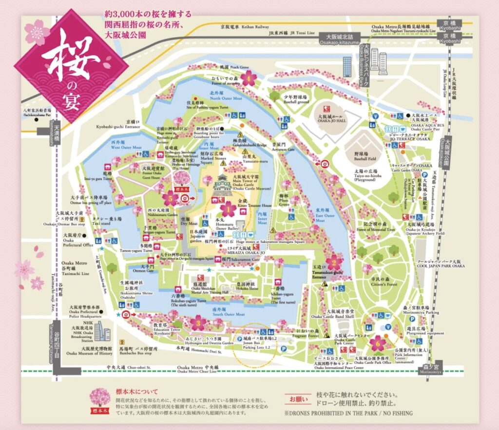 関西の桜！大阪城＆姫路城の春絶景と、天空の楽園、奈良・高見の郷の絶景桜