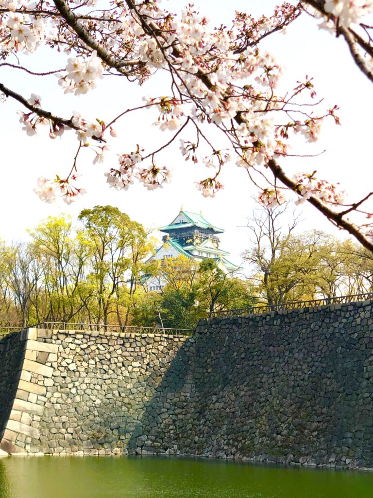 関西の桜！大阪城＆姫路城の春絶景と、天空の楽園、奈良・高見の郷の絶景桜
