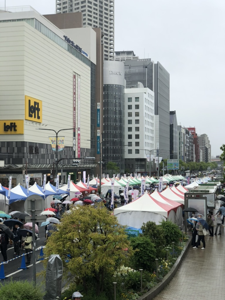 神戸の街が熱狂に包まれる！5月18日は絶対に見逃せない「神戸まつり」へGO！