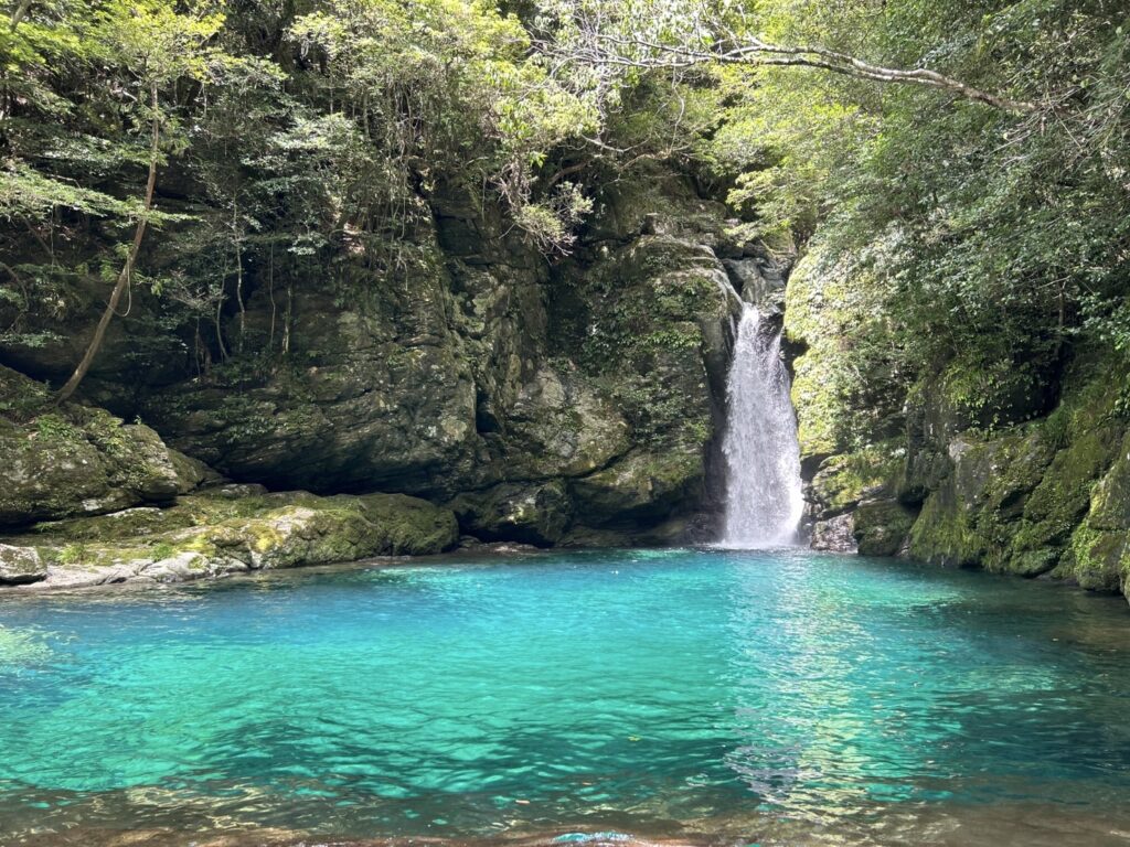 【高知旅行】仁淀ブルー・沈下橋・四万十川・メジカの新子｜娘から教わった訪れたい高知県