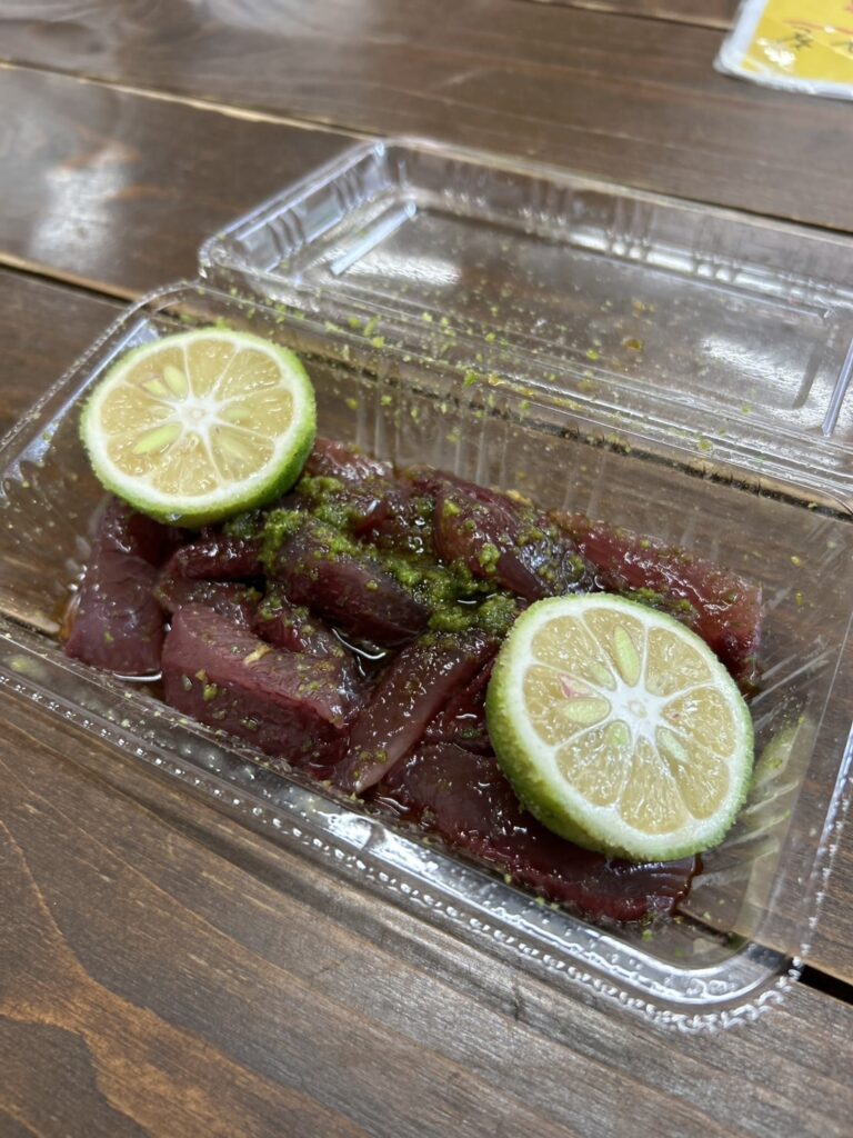 【高知旅行】仁淀ブルー・沈下橋・四万十川・メジカの新子｜娘から教わった訪れたい高知県